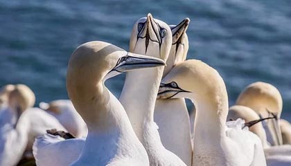 晋中伴游，定制QQ：3494206190微信：act1322